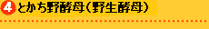 とかち野酵母
